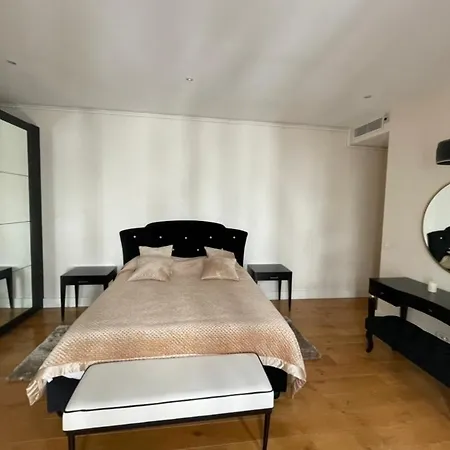 Champs-elysees Elegance Apartment